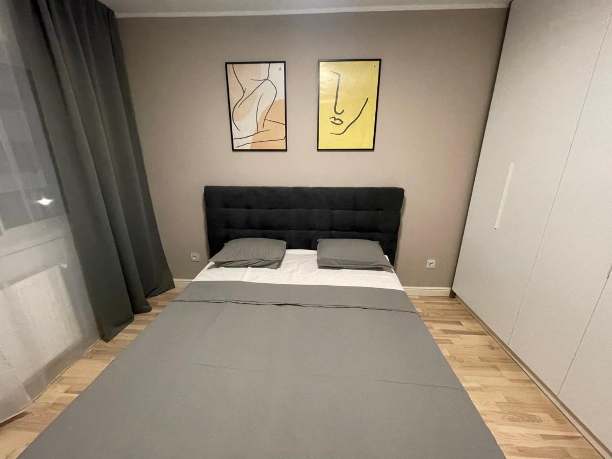 Modern Gray / Designed Iasi Exterior foto